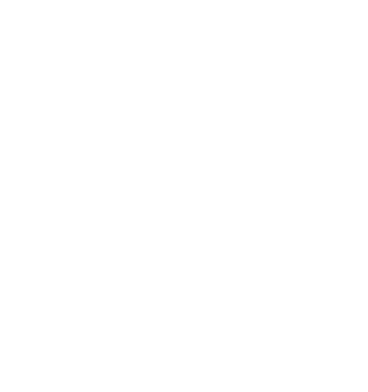 Instagram icon somniashop
