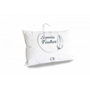 Перница со пердуви - Image 1